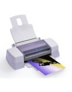 Cartouche d'encre pour imprimante Epson Stylus Photo 1290 PS