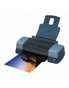 Cartouche d'encre pour imprimante Epson Stylus Photo 1290 Silver